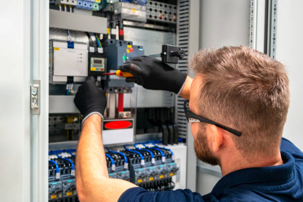 Best Electric Panel Repair  in Bemiss, GA
